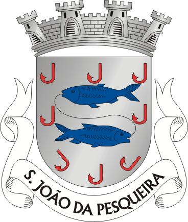 Brasão de São João da Pesqueira